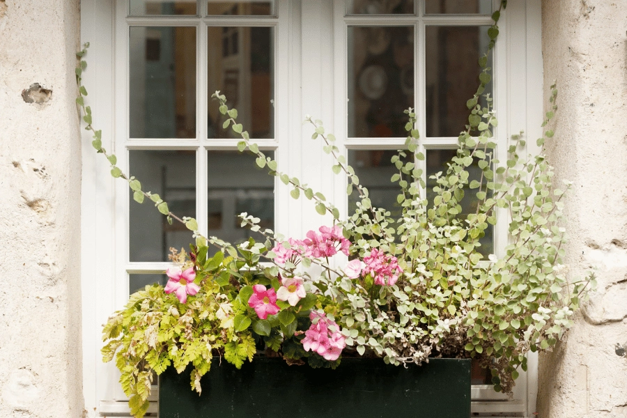 cute flower box filled with pink and white flowers on the windowsill of a cottage style home 